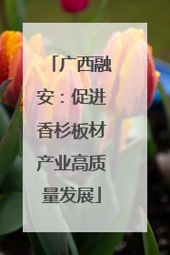 广西融安：促进香杉板材产业高质量发展