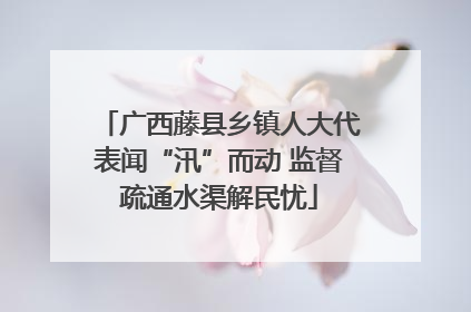 广西藤县乡镇人大代表闻“汛”而动 监督疏通水渠解民忧