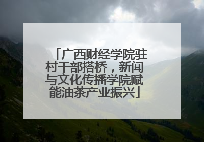 广西财经学院驻村干部搭桥，新闻与文化传播学院赋能油茶产业振兴