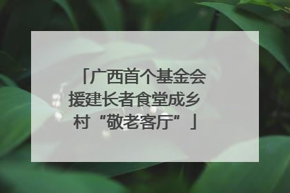 广西首个基金会援建长者食堂成乡村“敬老客厅”