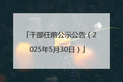 干部任前公示公告（2025年5月30日）
