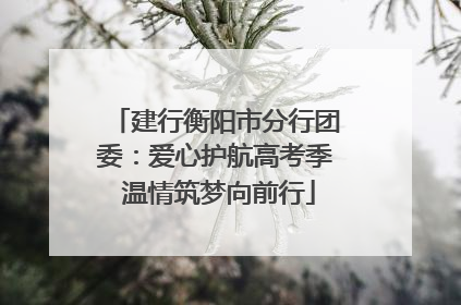建行衡阳市分行团委：爱心护航高考季 温情筑梦向前行