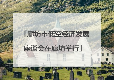 廊坊市低空经济发展座谈会在廊坊举行