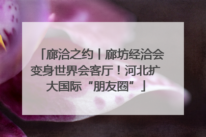 廊洽之约丨廊坊经洽会变身世界会客厅！河北扩大国际“朋友圈”