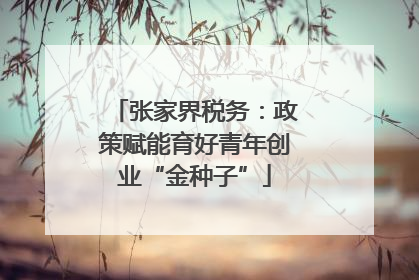张家界税务：政策赋能育好青年创业“金种子”
