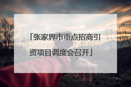 张家界市重点招商引资项目调度会召开