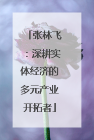 张林飞：深耕实体经济的多元产业开拓者