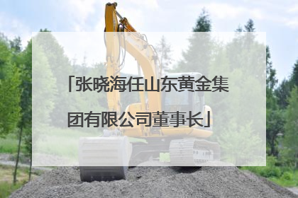张晓海任山东黄金集团有限公司董事长