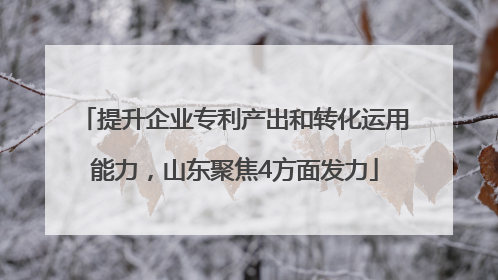 提升企业专利产出和转化运用能力，山东聚焦4方面发力