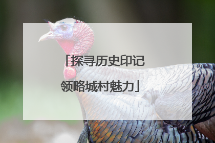探寻历史印记 领略城村魅力