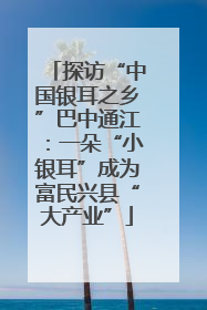 探访“中国银耳之乡”巴中通江：一朵“小银耳”成为富民兴县“大产业”