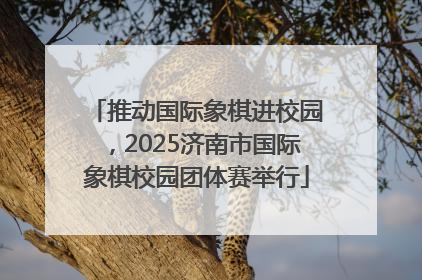 推动国际象棋进校园，2025济南市国际象棋校园团体赛举行