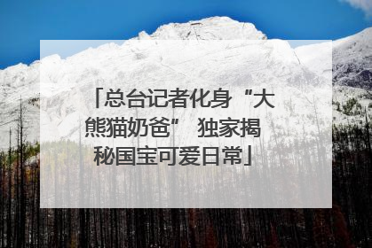总台记者化身“大熊猫奶爸” 独家揭秘国宝可爱日常