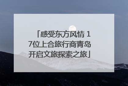 感受东方风情 17位上合旅行商青岛开启文旅探索之旅