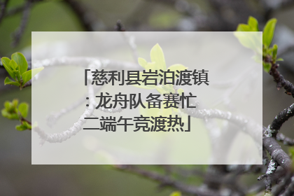 慈利县岩泊渡镇：龙舟队备赛忙 二端午竞渡热