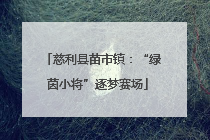 慈利县苗市镇：“绿茵小将”逐梦赛场