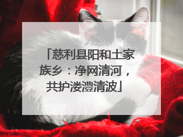 慈利县阳和土家族乡：净网清河，共护溇澧清波