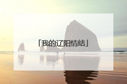 我的辽阳情结