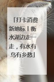 打卡消费新地标丨衡水湖边走一走，有水有鸟有乡愁