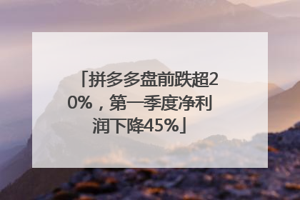 拼多多盘前跌超20%，第一季度净利润下降45%