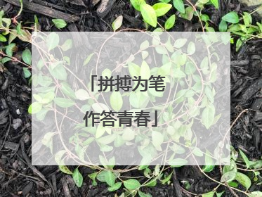 拼搏为笔 作答青春