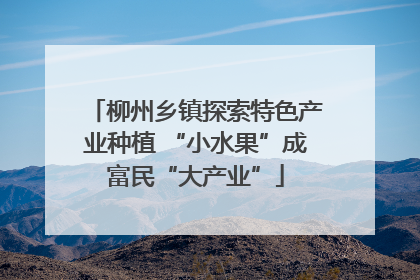 柳州乡镇探索特色产业种植 “小水果”成富民“大产业”
