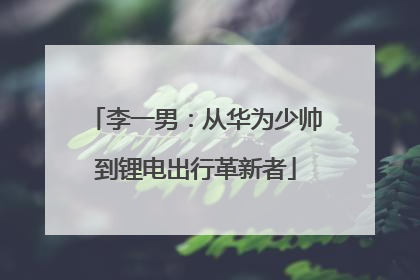 李一男：从华为少帅到锂电出行革新者