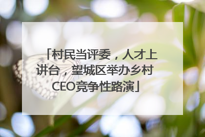 村民当评委，人才上讲台，望城区举办乡村CEO竞争性路演