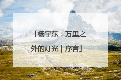 杨宇东：万里之外的灯光｜序言