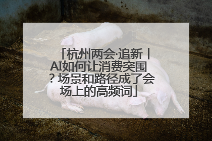 杭州两会·追新丨AI如何让消费突围？场景和路径成了会场上的高频词