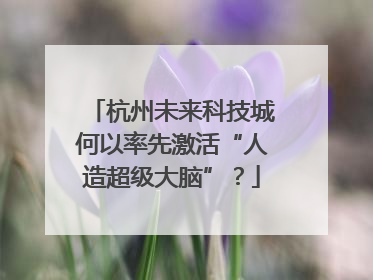 杭州未来科技城何以率先激活“人造超级大脑”？