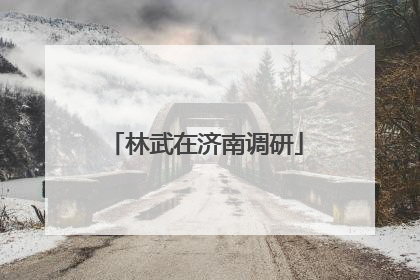 林武在济南调研