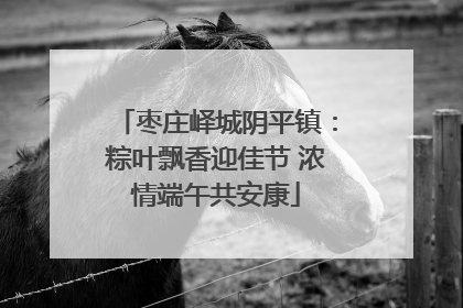 枣庄峄城阴平镇：粽叶飘香迎佳节 浓情端午共安康