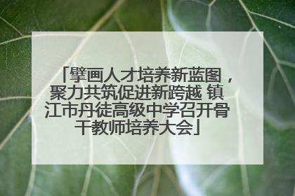 擘画人才培养新蓝图，聚力共筑促进新跨越 镇江市丹徒高级中学召开骨干教师培养大会