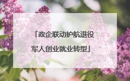 政企联动护航退役军人创业就业转型