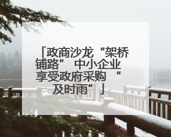 政商沙龙“架桥铺路” 中小企业享受政府采购 “及时雨”