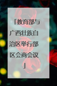 教育部与广西壮族自治区举行部区会商会议