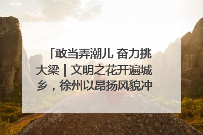 敢当弄潮儿 奋力挑大梁｜文明之花开遍城乡，徐州以昂扬风貌冲刺“万亿之城”