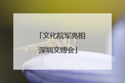 文化皖军亮相深圳文博会