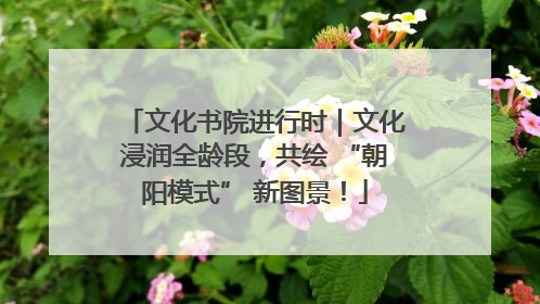 文化书院进行时｜文化浸润全龄段，共绘 “朝阳模式” 新图景！