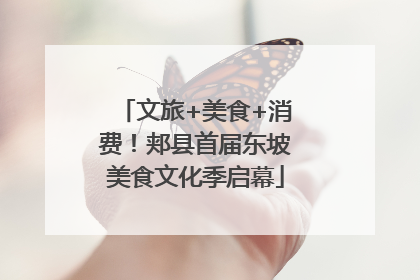 文旅+美食+消费！郏县首届东坡美食文化季启幕