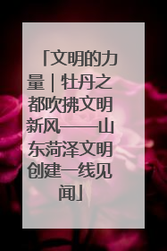 文明的力量｜牡丹之都吹拂文明新风——山东菏泽文明创建一线见闻