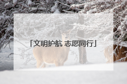 文明护航 志愿同行