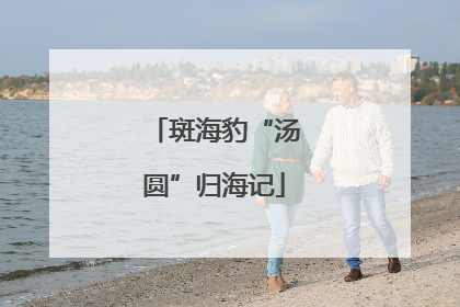 斑海豹“汤圆”归海记