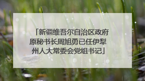 新疆维吾尔自治区政府原秘书长周旭勇已任伊犁州人大常委会党组书记