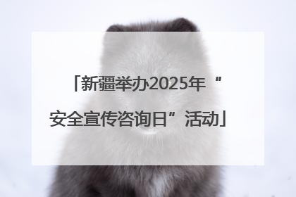 新疆举办2025年“安全宣传咨询日”活动