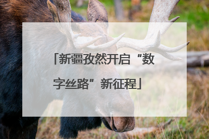 新疆孜然开启“数字丝路”新征程