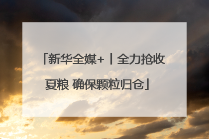 新华全媒+丨全力抢收夏粮 确保颗粒归仓