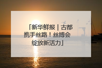 新华鲜报｜古都携手丝路！丝博会绽放新活力