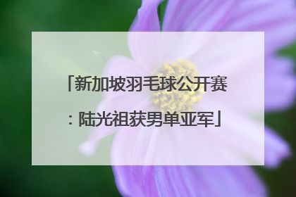 新加坡羽毛球公开赛：陆光祖获男单亚军